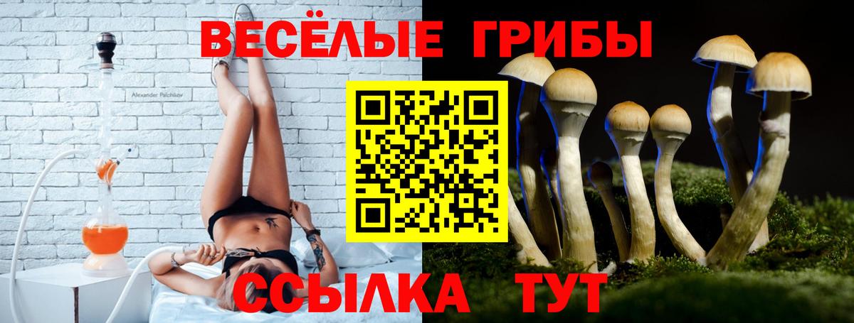 Псилоцибиновые грибы Psilocybine cubensis Тельмана