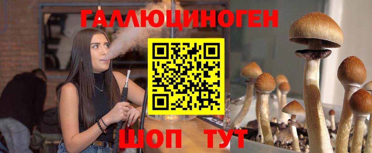 Тельмана  Галлюциногенные грибы мухоморы  Вход с VPN  Галлюциногенные грибы Cubensis 